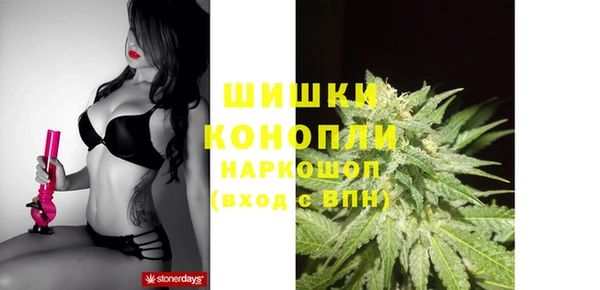сатива Абинск