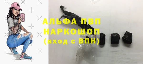 мяу мяу мука Абаза