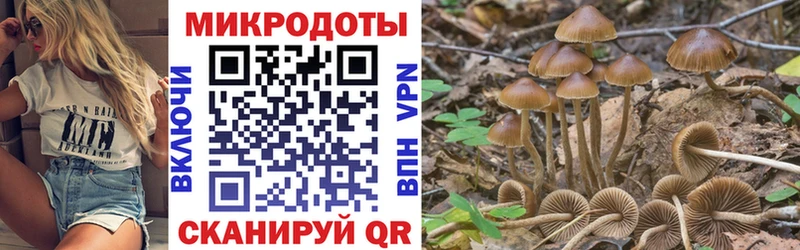 кракен маркетплейс  Кумертау  Галлюциногенные грибы ЛСД  где купить  